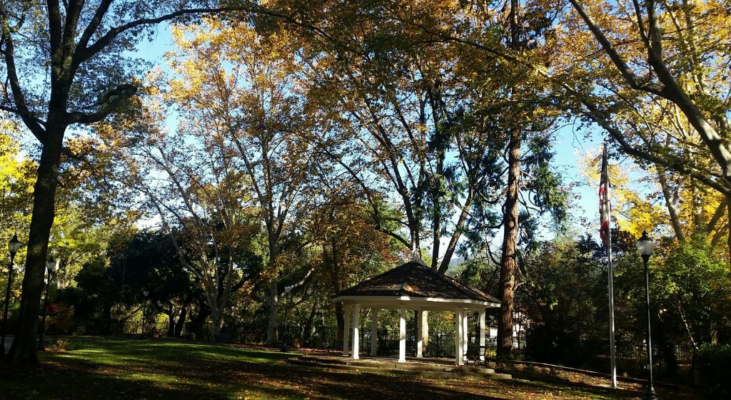 Pioneer Park 2