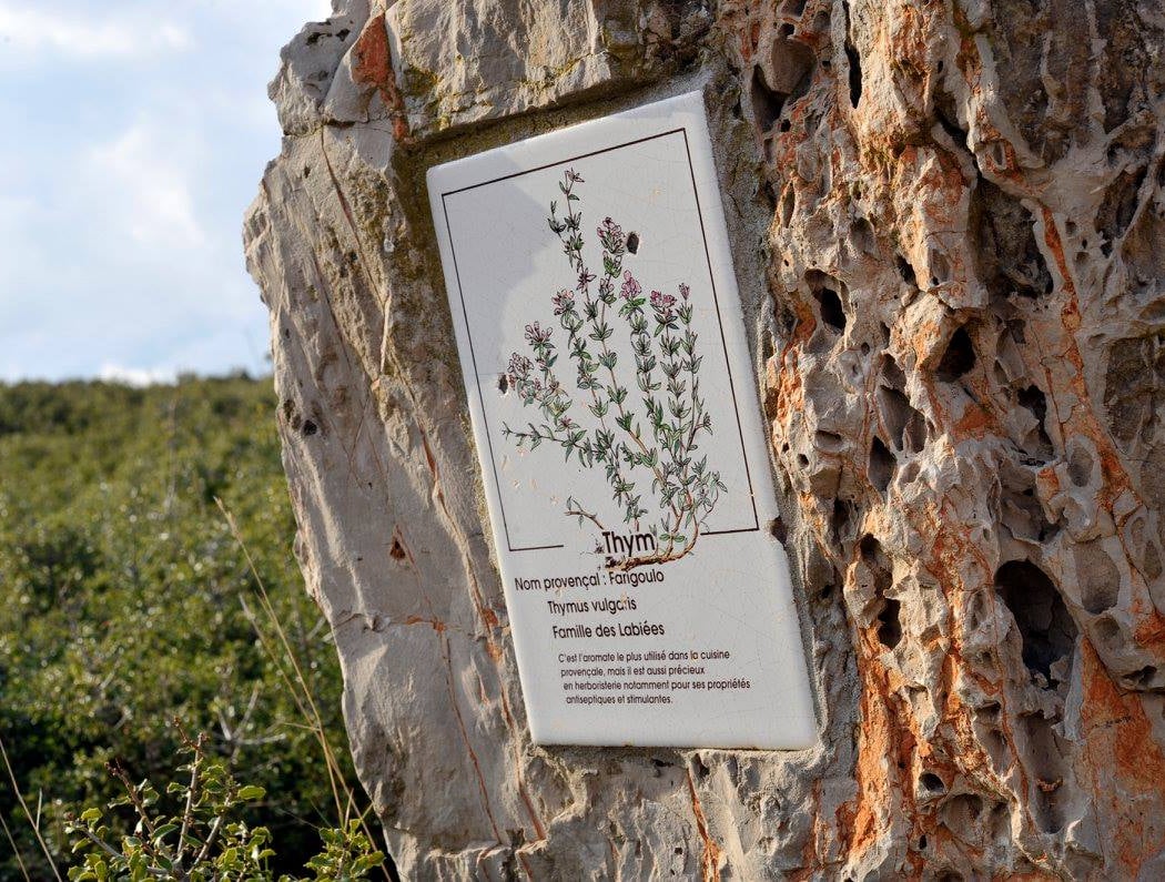 Sentier de la Batarelle 2