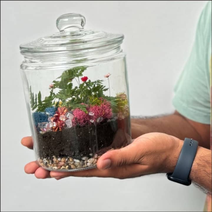 Closed Ecosystem Terrarium Class 1