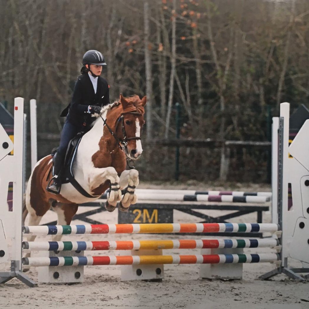 Concours equitation 1