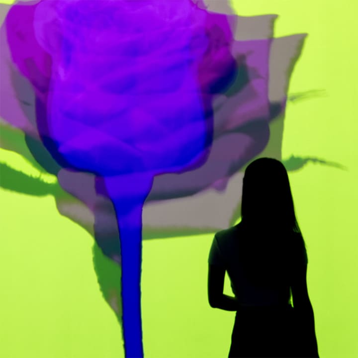 ARTE MUSEUM: An Immersive Media Art Exhibition 3