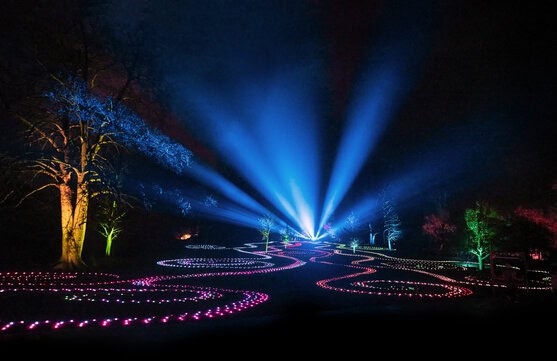 NYE at Lightscape: Immersive Holiday Light Trail 1