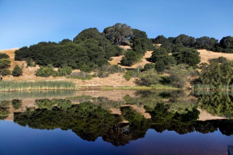 Helen Putnam Regional Park 2