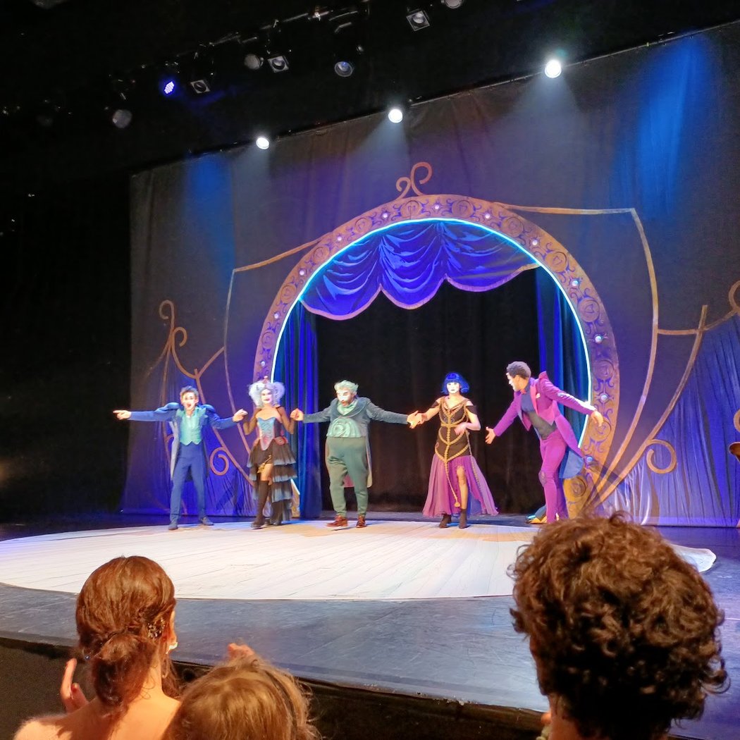 Peter Pan Comédie musicale 4