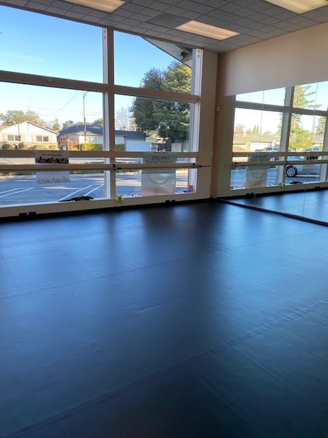 Ayana Ballet School 2