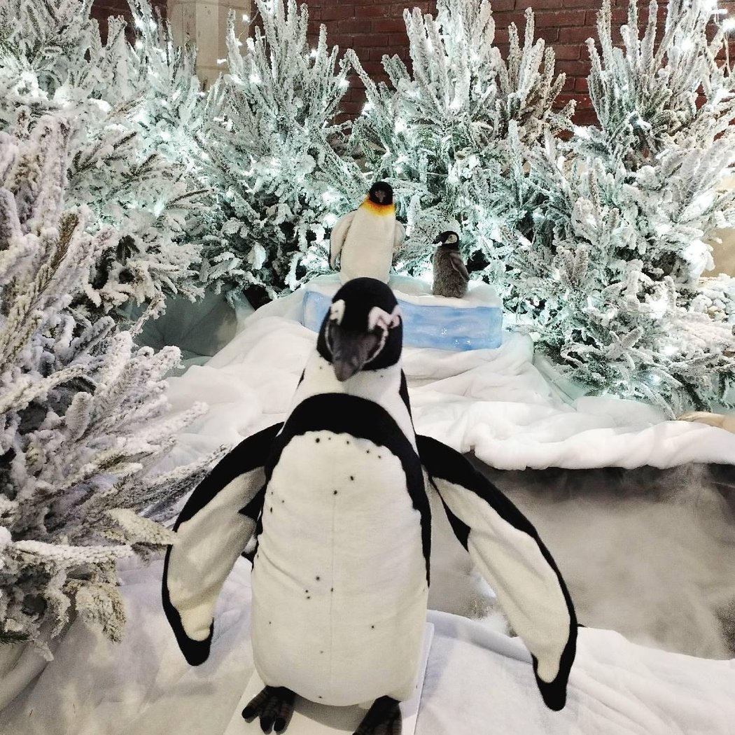 Exposition gratuite d’animaux automates animés 1