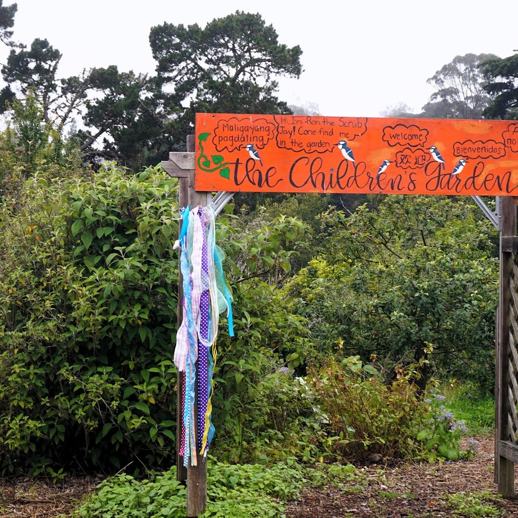 Children’s Garden 2