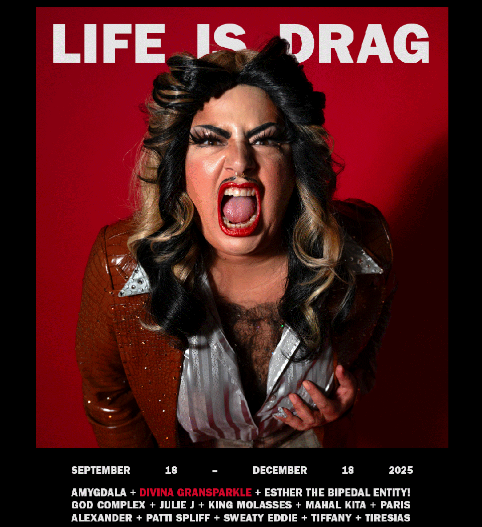 Life is Drag by Rachel Rampleman 1