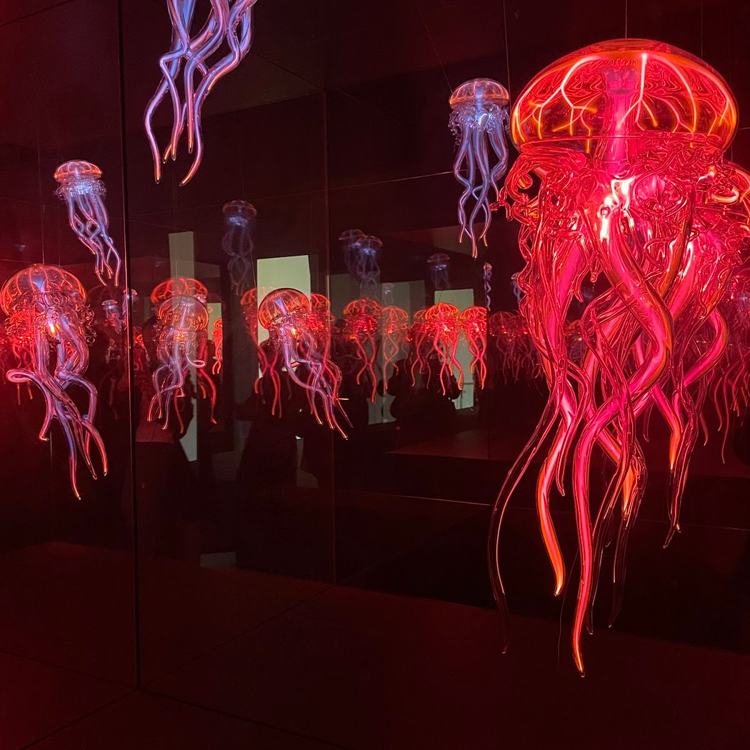 Swiss Science Center Technorama 3