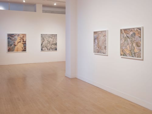 David Maisel: The Fall 3