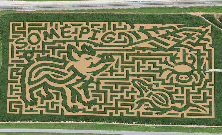 Cherry Crest Adventure Farm 5