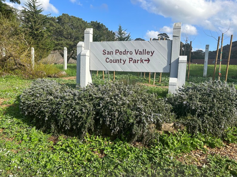 San Pedro Valley Park 3