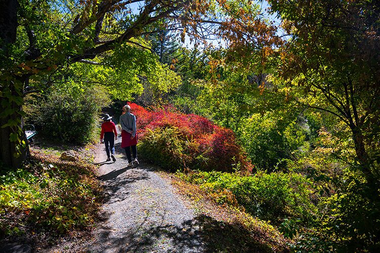 Sonoma Botanical Garden 2