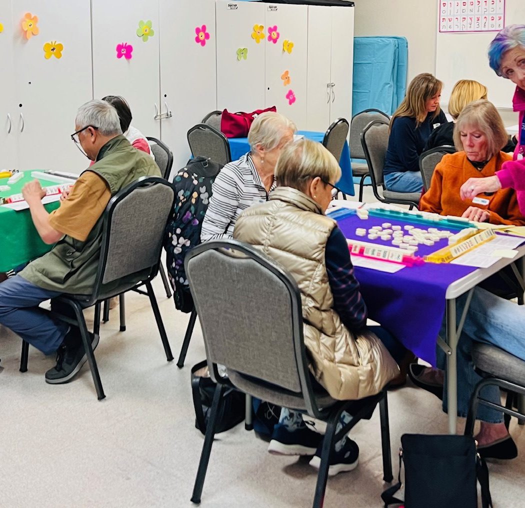 Beginner's Mahjong 1