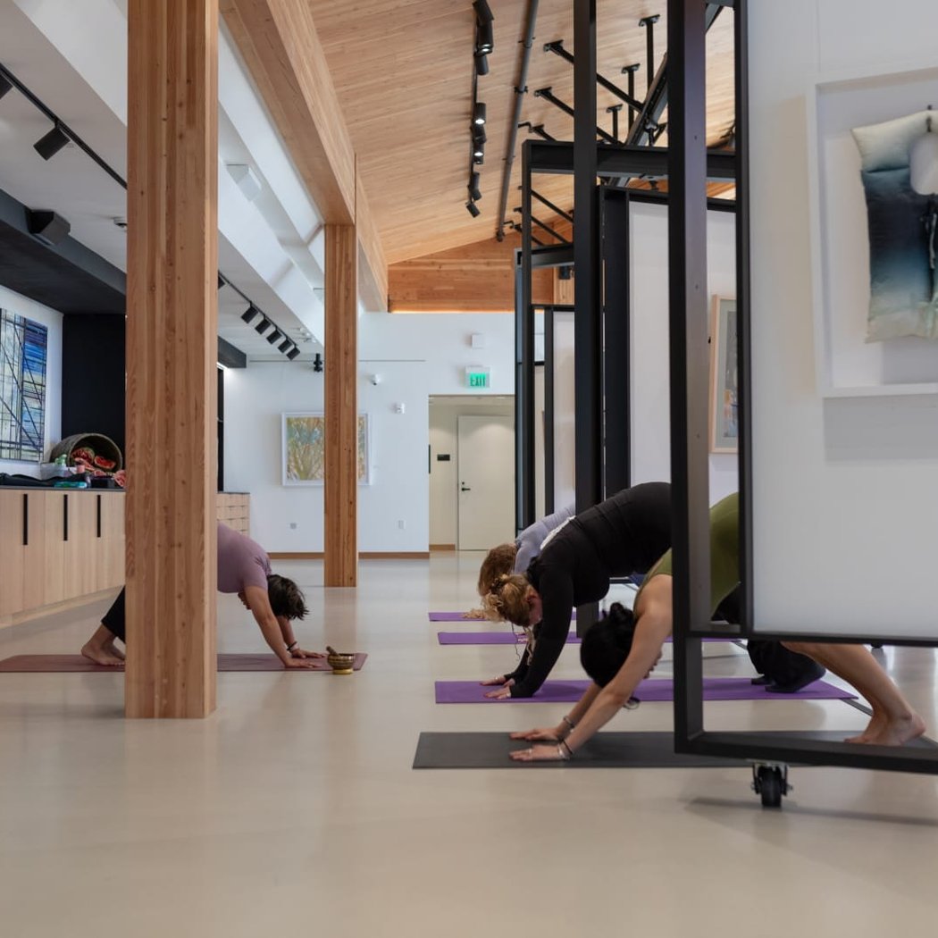 Strength Flow: Yoga in the Gallery January session 1