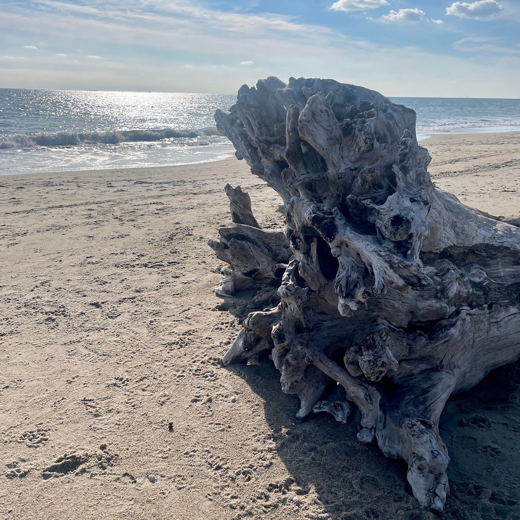 Napatree Point 3