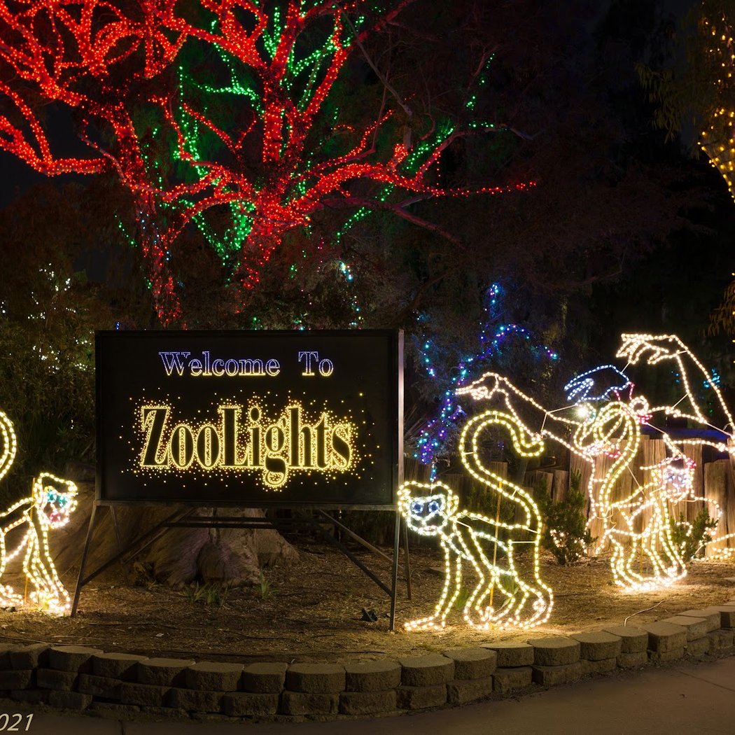 Insider Connection - Zoolights 1