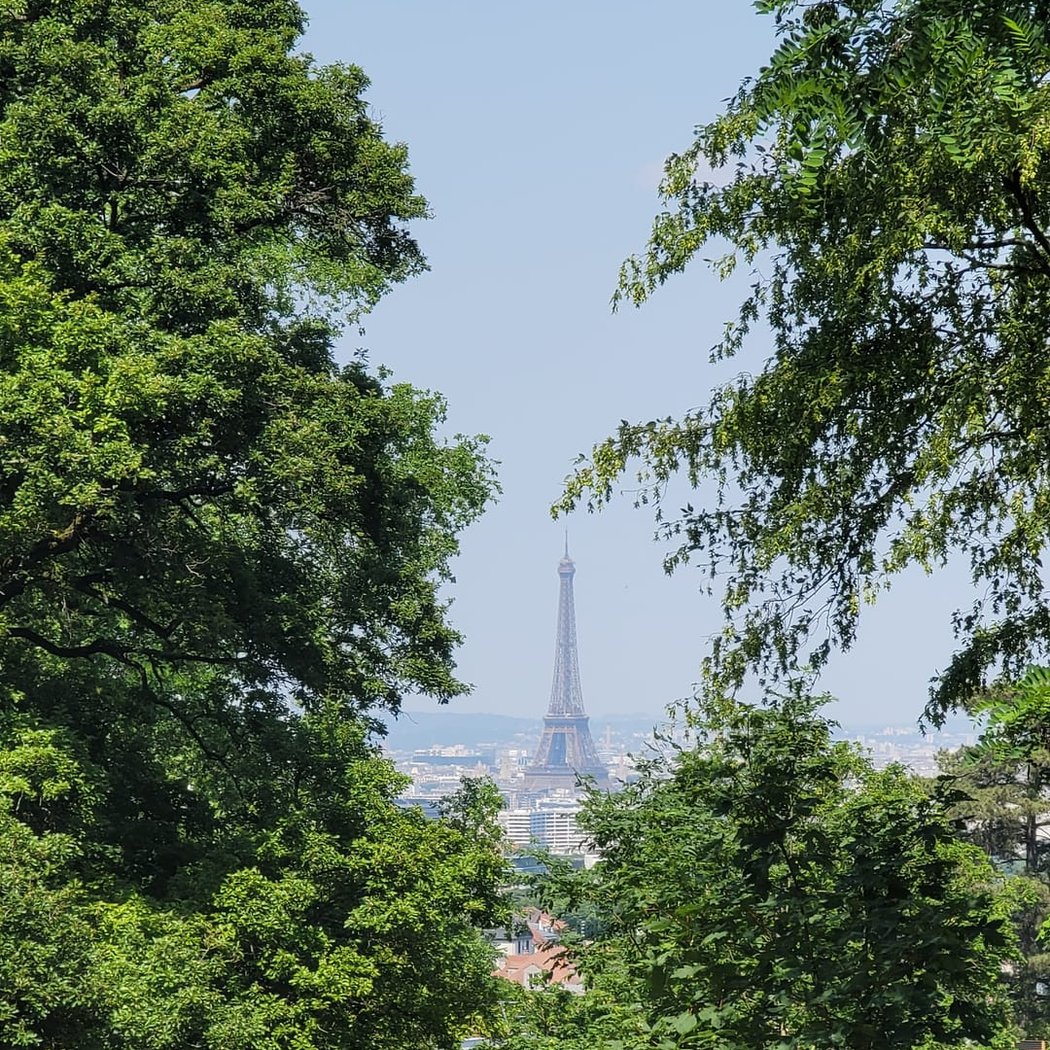 Point de vue Tour Eiffel & Montmartre 1