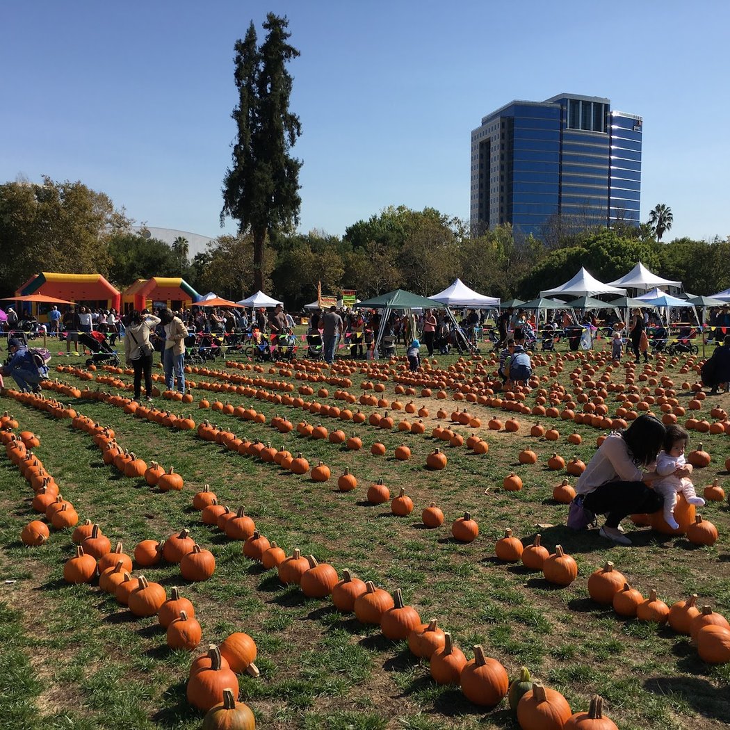 Pumpkins in the Park 2