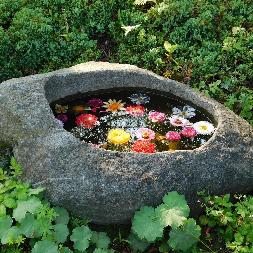 Japanese Garden 1