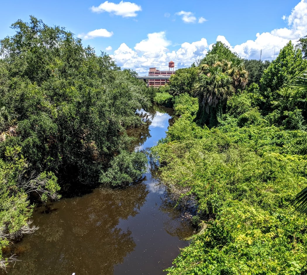 Hogans Creek Cleanup 2