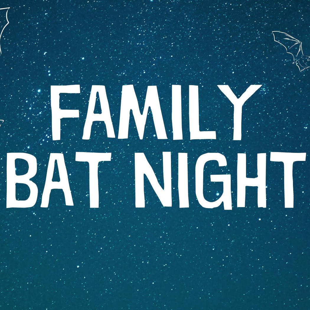 Family Bat Night 1
