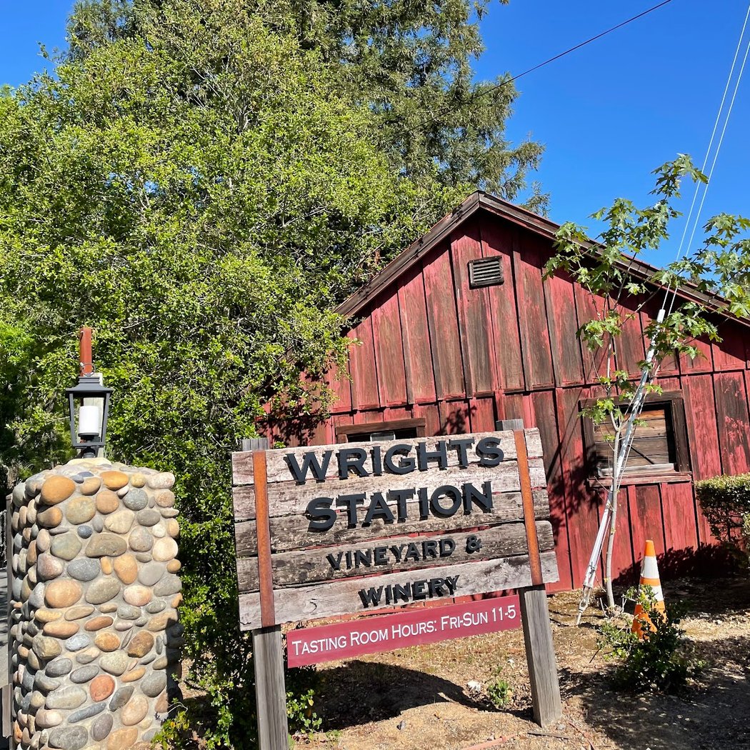 Succulent & Wine Tasting 3