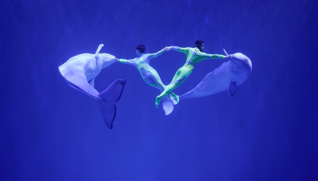 Harbin Polarland 1