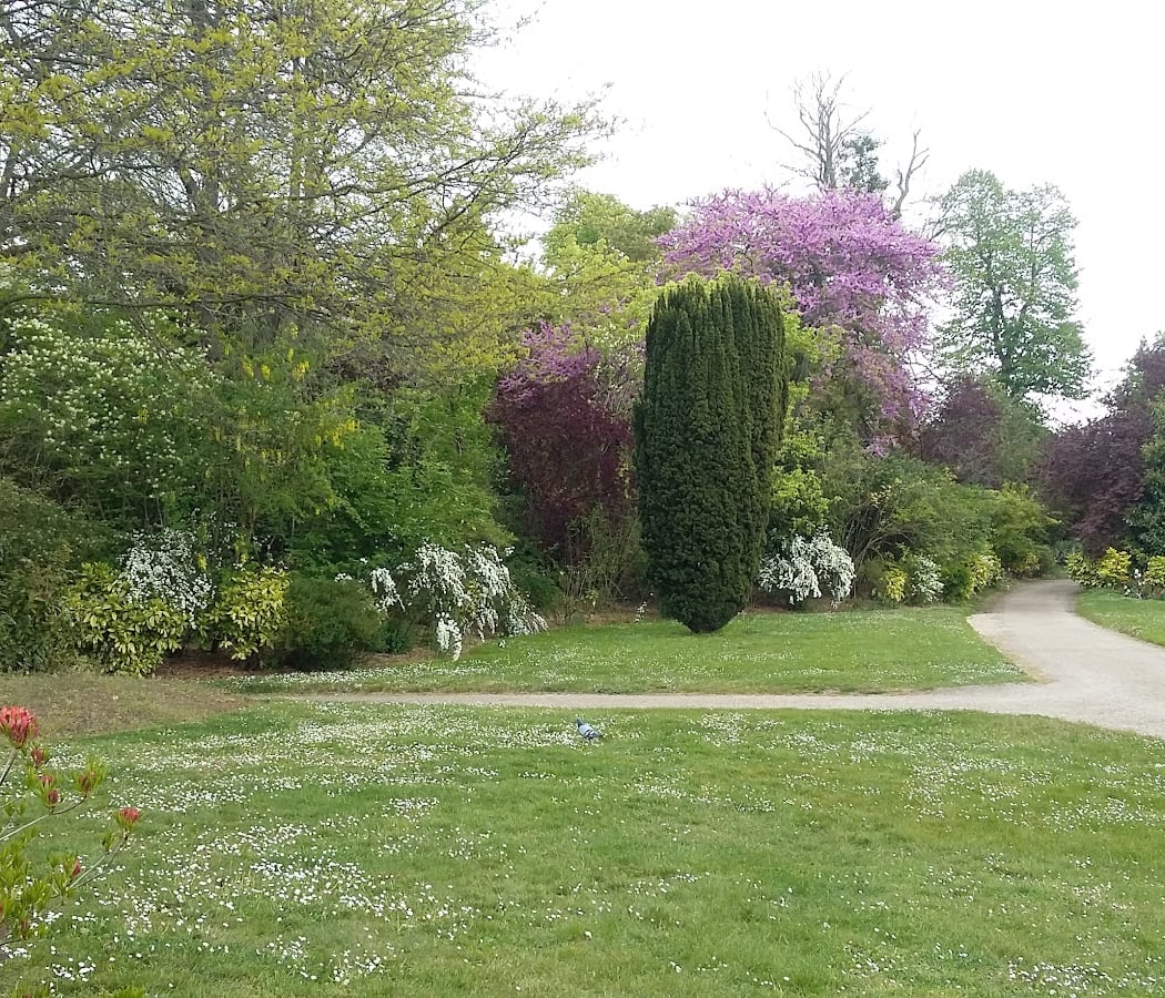 Parc de Saint-Cloud 3