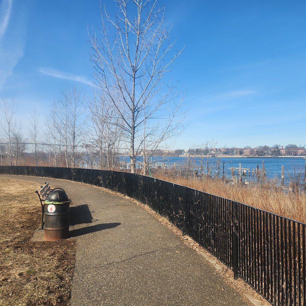 City Nature Challenge: Biodiversity Hike 3