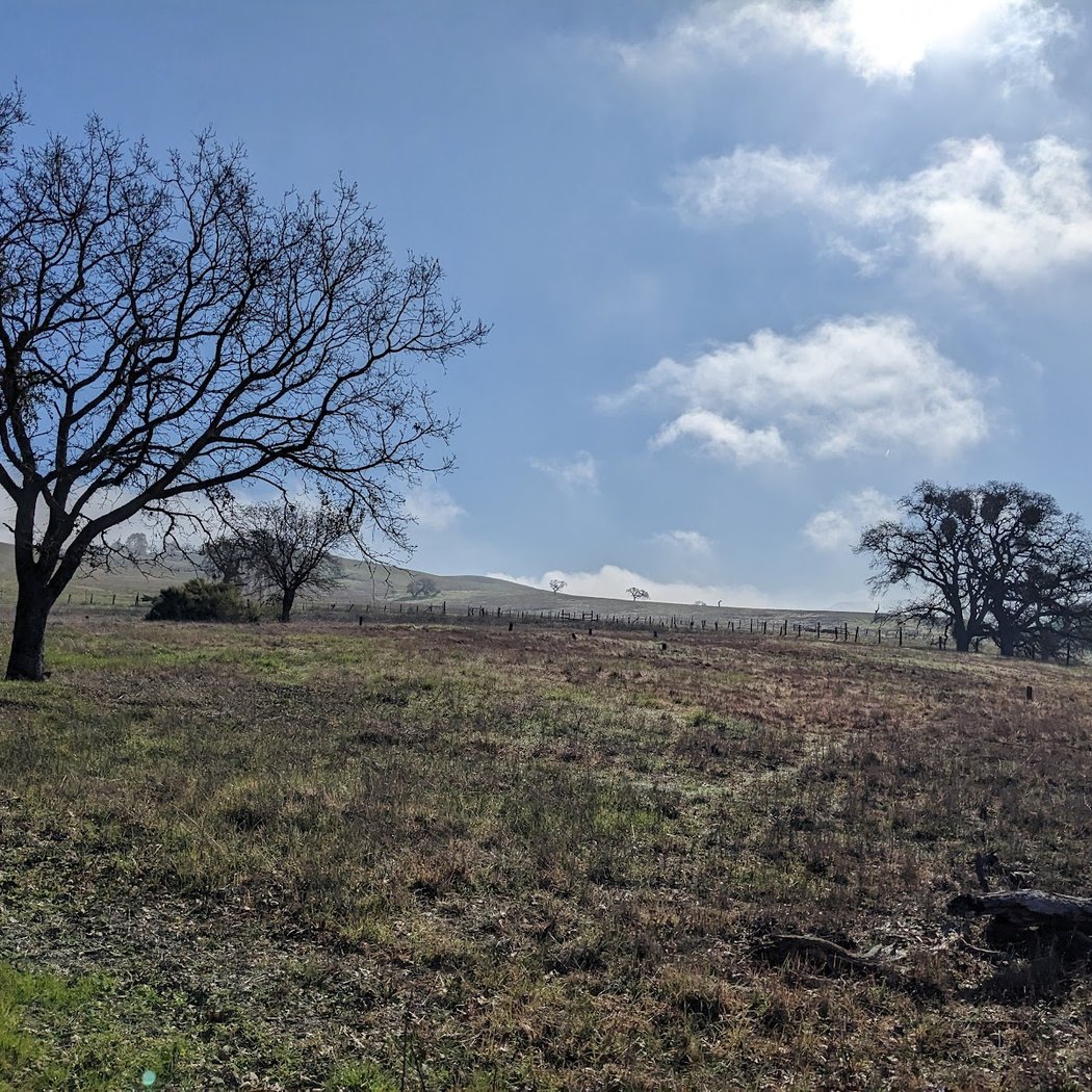 Stanford Dish Trail Parking 3