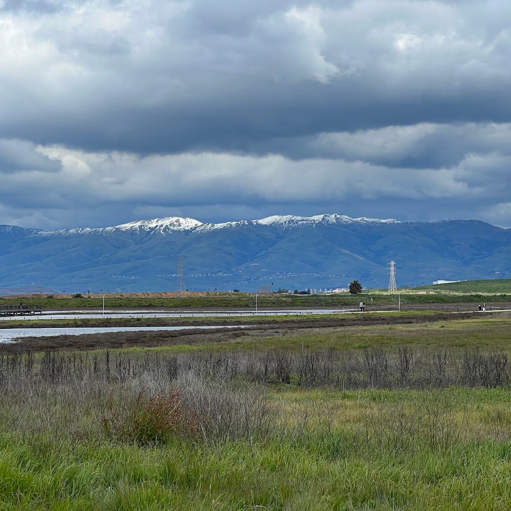 Baylands Grove 1