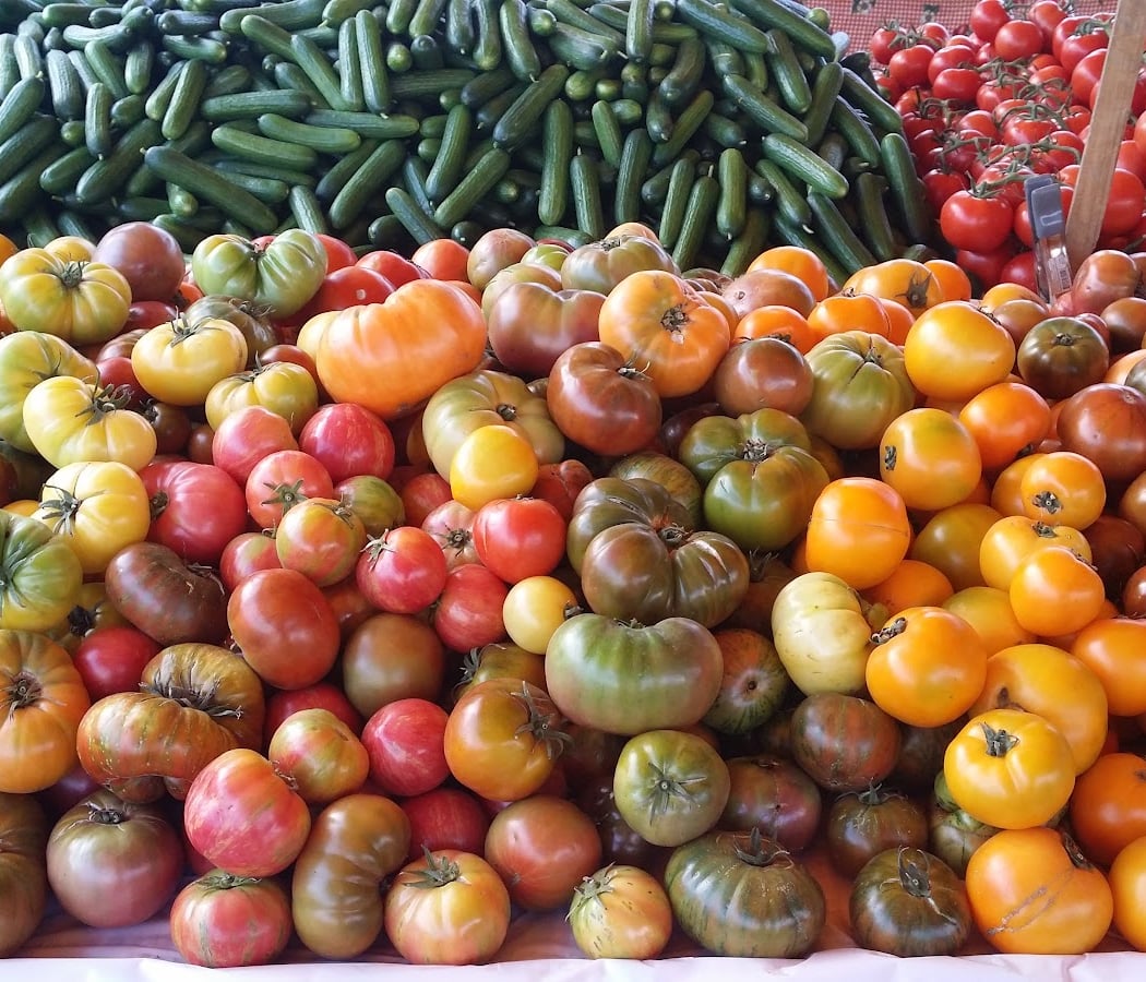 Fort Mason Farmer’s Market 1