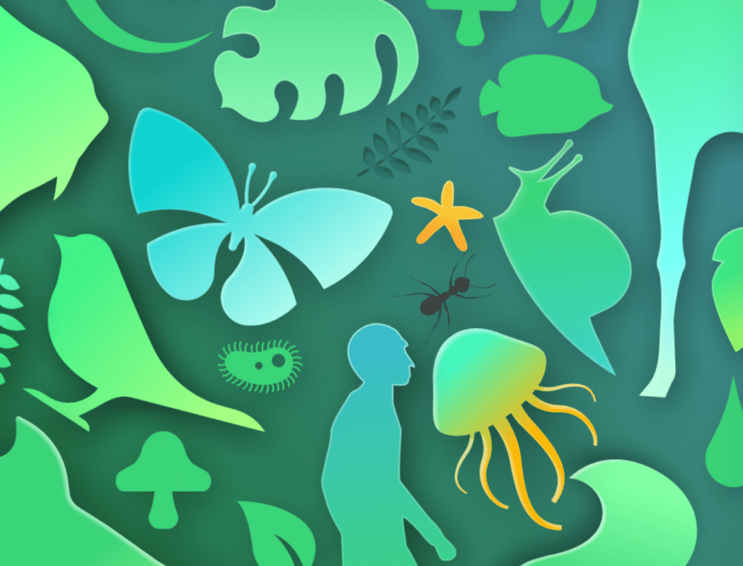 Atelier Mission Biodiversité - Inter-entreprises 1