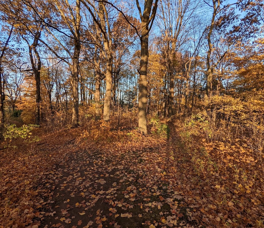 Habitat Hike with Cedar Lakes Conservation Foundation 1