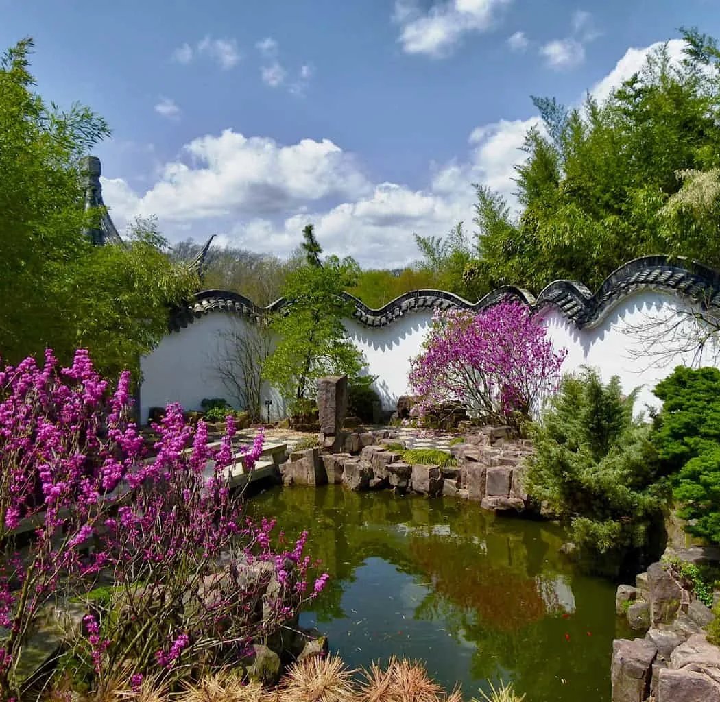 New York Chinese Scholar's Garden, Snug Harbor Cultural Center 1