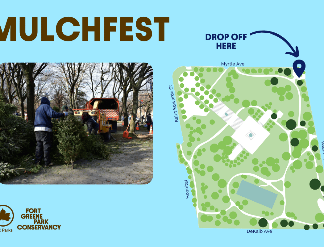 Mulchfest 1