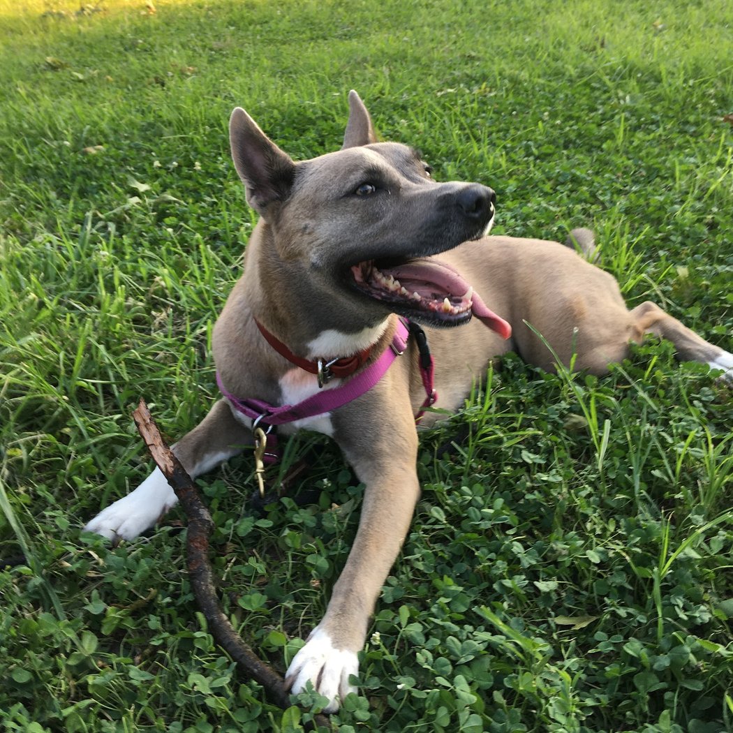 Ellie's Rock 2