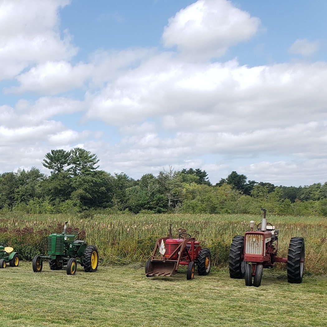 Harvest Fair 3