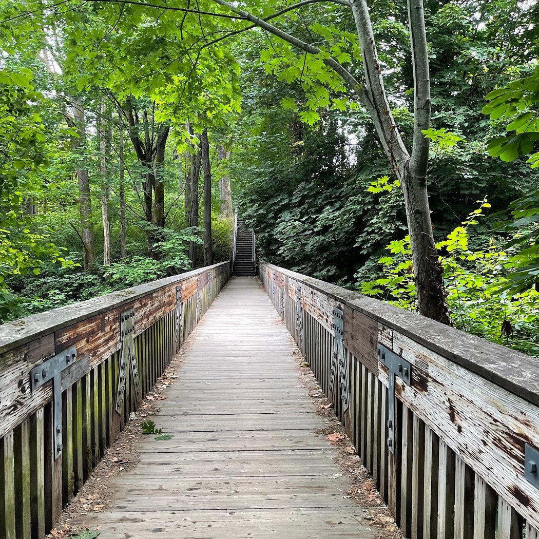 Ravenna Park Restore 2