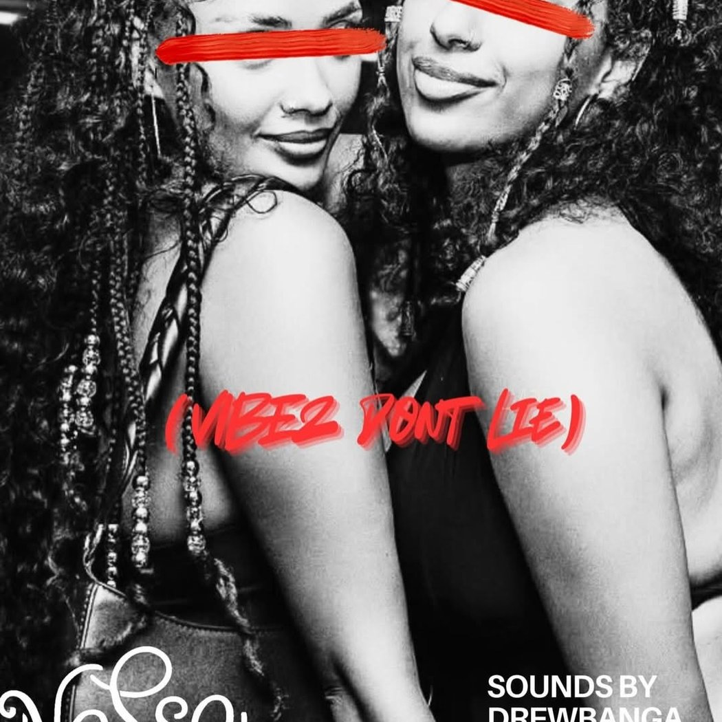 Vibes Don’t Lie 1