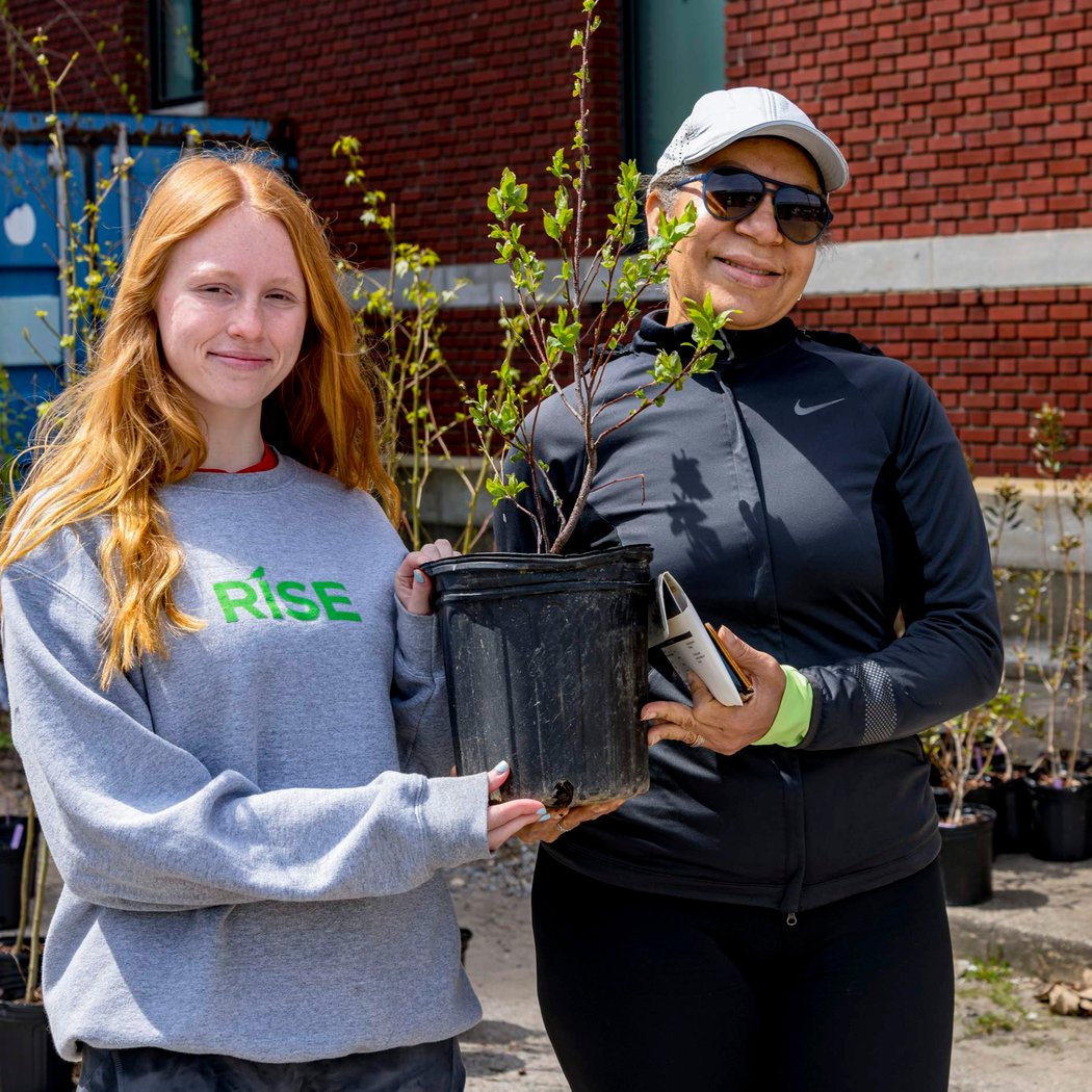 Free Tree Giveaway 1