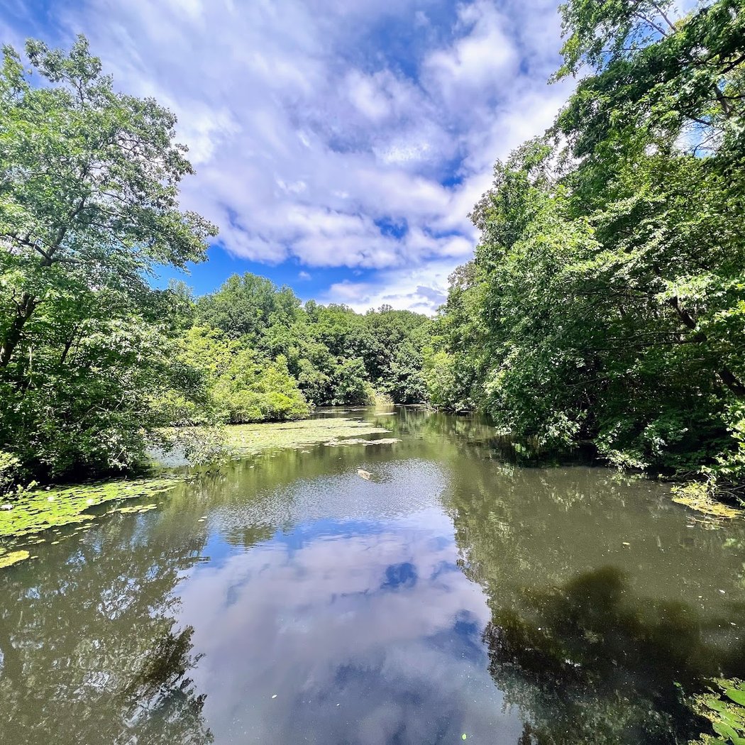 Greenwich Audubon Center 1