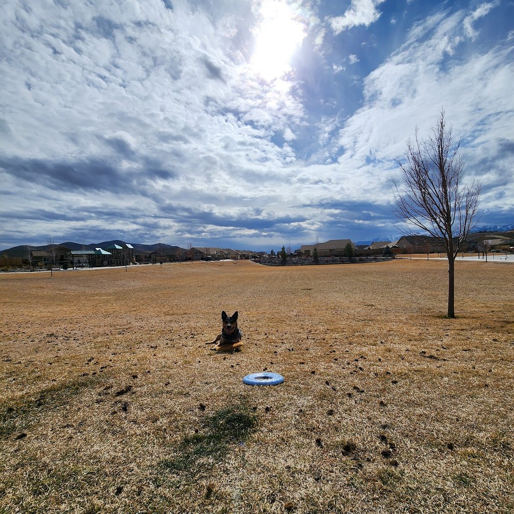Schulz Ranch Park 3