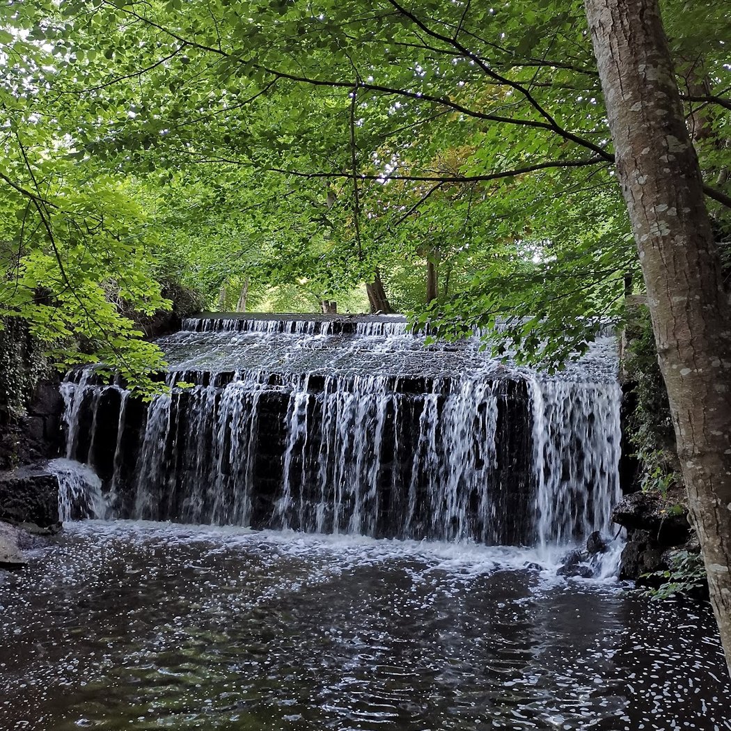 Le Petit Moulin 2
