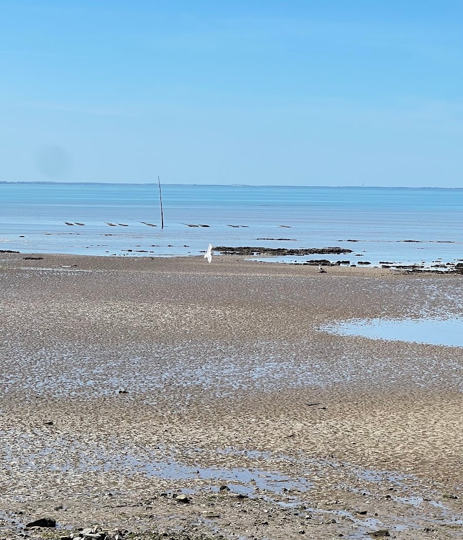 Plage de Lyarne 2