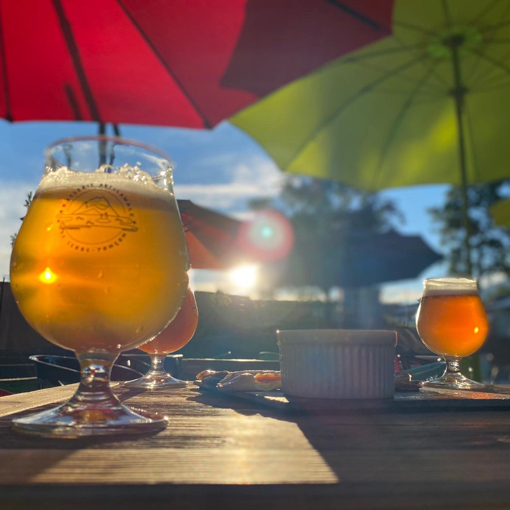 Apex Brewpub 1