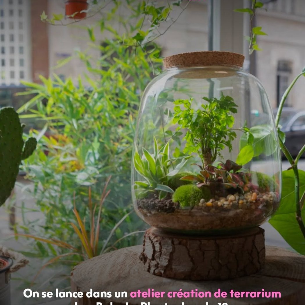 atelier création de terrarium 1