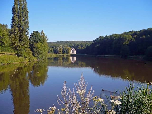 Forêt Domaniale de Montmorency 5