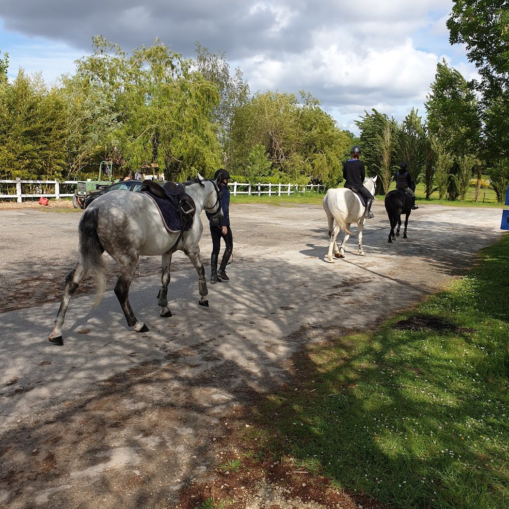 Bordeaux Cheval Club - Equestrian Center & Pony Club 2